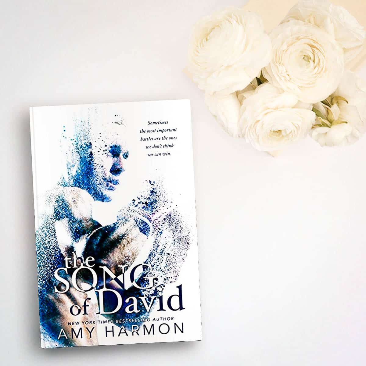The Song of David by Amy Harmon – An Excerpt + Music!
