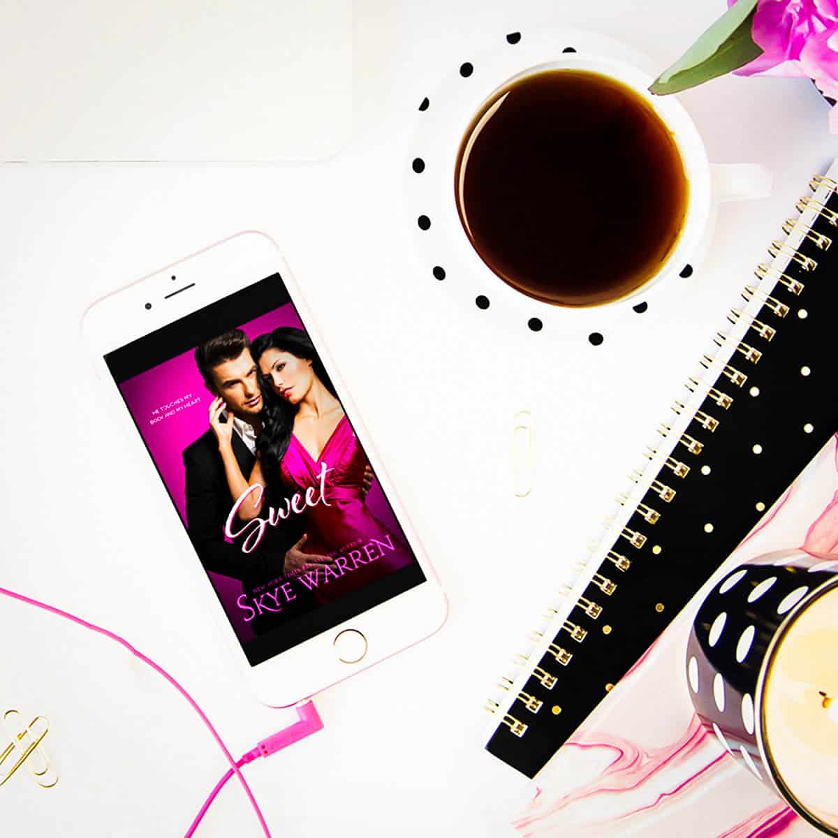 Sweet by Skye Warren is an erotic romance novella with a touch of suspense in the Chicago Underground world. Sweet features the story of Rose and Drew.