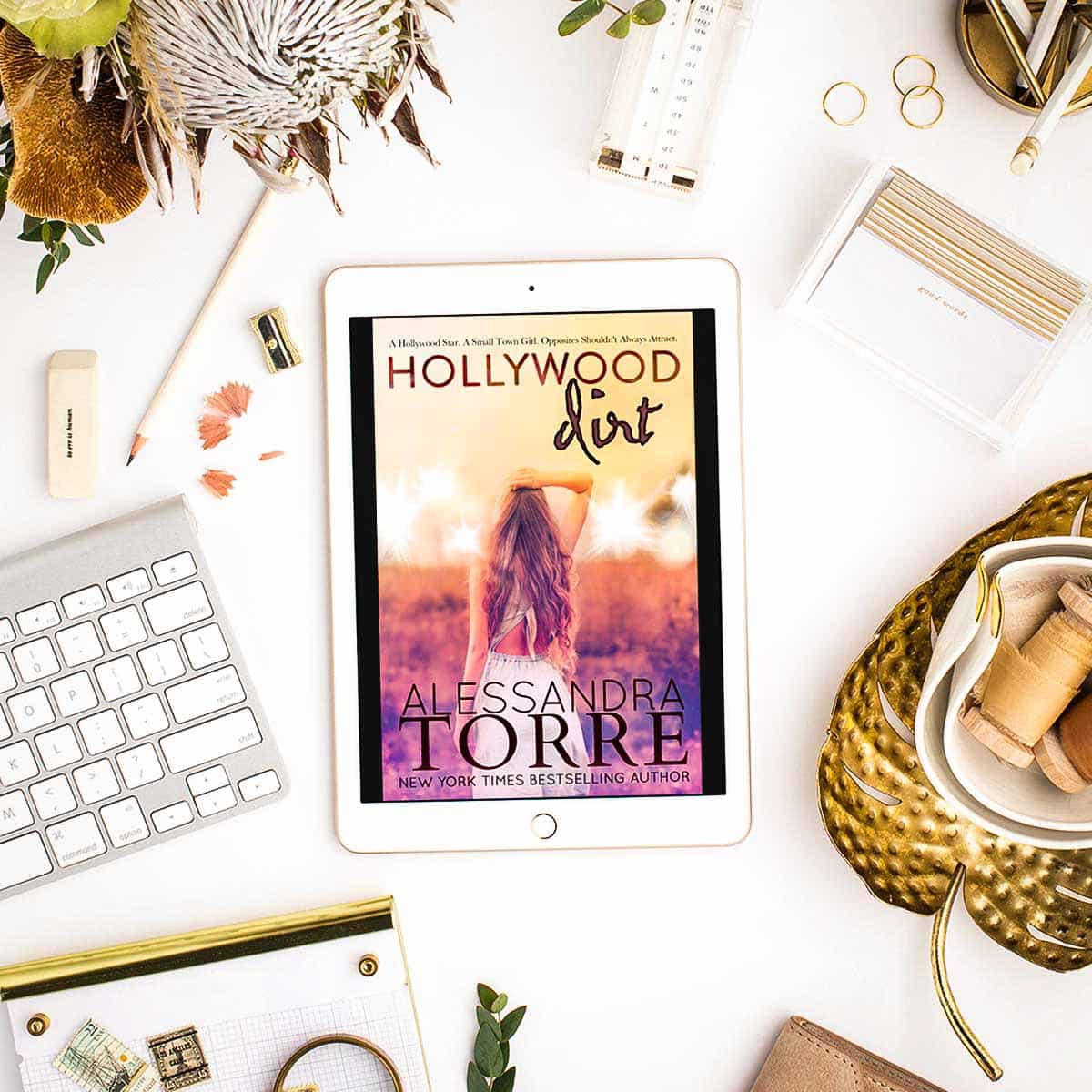 Filled with tension and passion, Hollywood Dirt by Alessandra Torre is a fun, light-hearted, and sexy contemporary romance between a Hollywood heartthrob and a sassy Southern woman.
