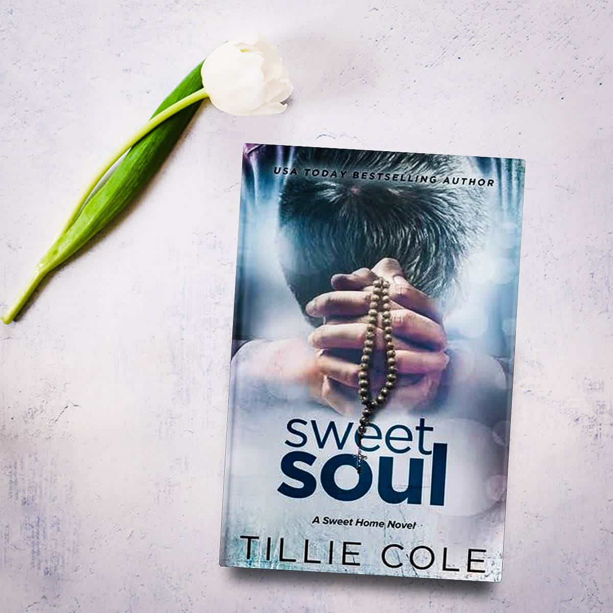 Sweet Soul by Tillie Cole is the last book in the Sweet Home series and it's a highly emotional and very sweet story about the youngest brother, Levi, and the homeless girl he falls in love with.