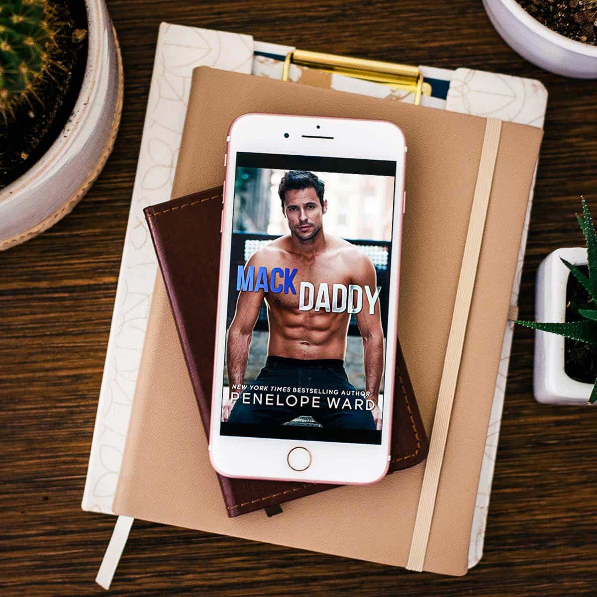 Fans of star-crossed lovers who get a second chance will love Mack Daddy by Penelope Ward, a slow burn second-chance contemporary romance.