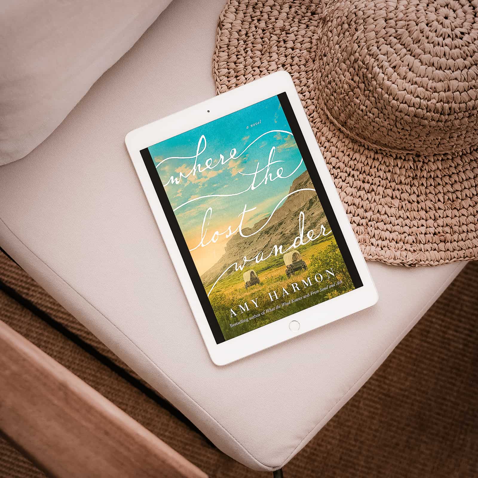Where the Lost Wander by Amy Harmon – Review
